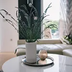 Ferienhaus 度假居 *